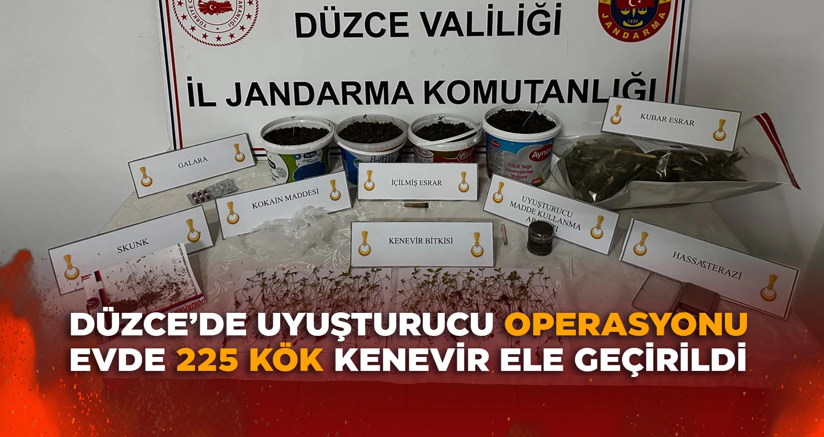 D&Uuml;ZCE'DE UYUŞTURUCU BASKINI: EVDE 225 K&Ouml;K KENEVİR ELE GE&Ccedil;İRİLDİ