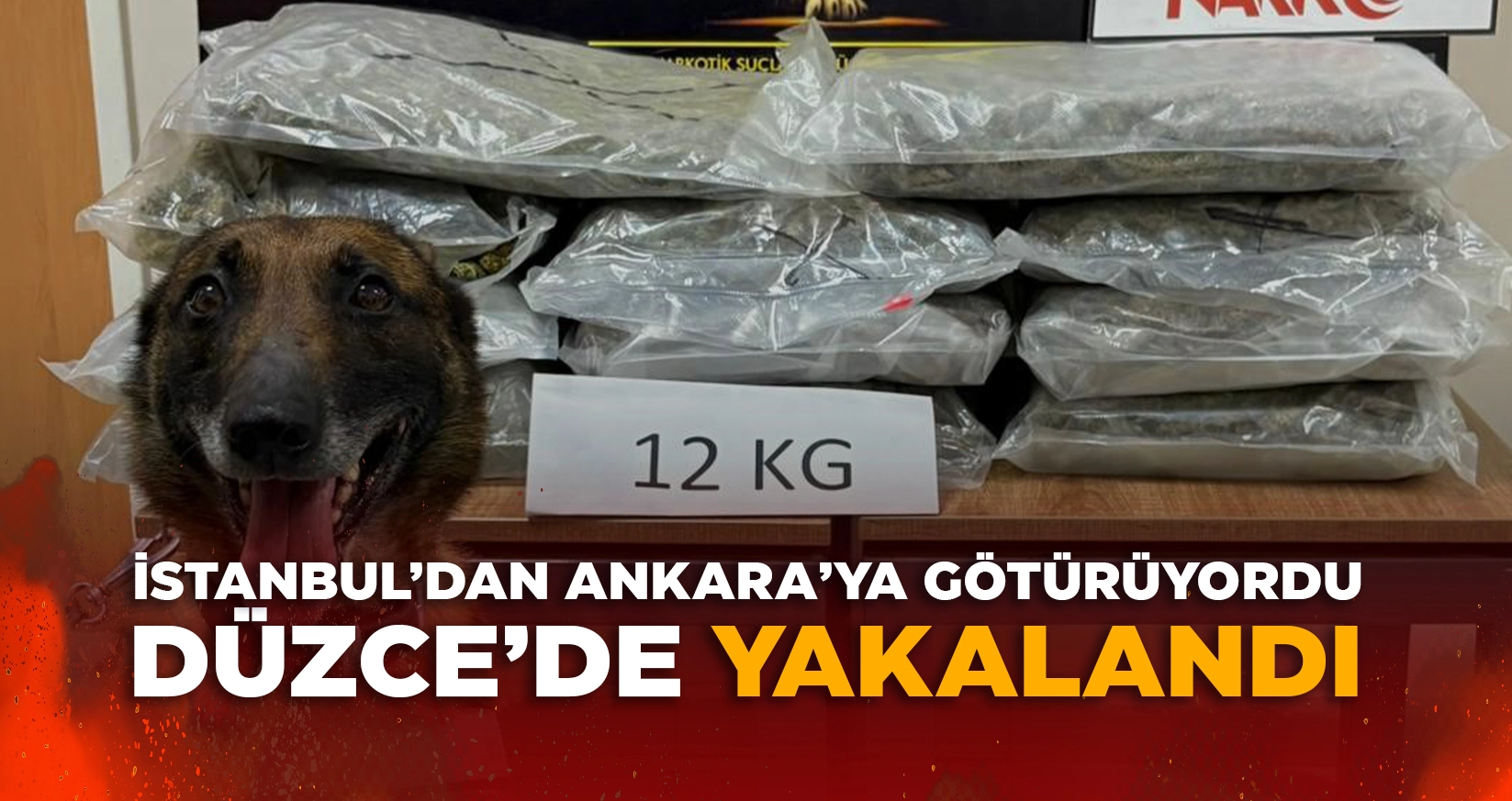 İSTANBUL'DAN ANKARA'YA G&Ouml;T&Uuml;R&Uuml;YORDU D&Uuml;ZCE'DE YAKALANDI