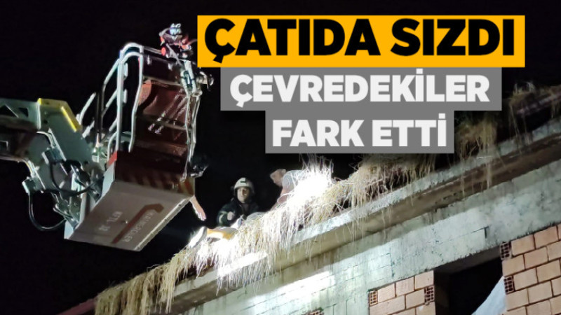 Çatıda Sızdı, Çevredekiler Fark Etti