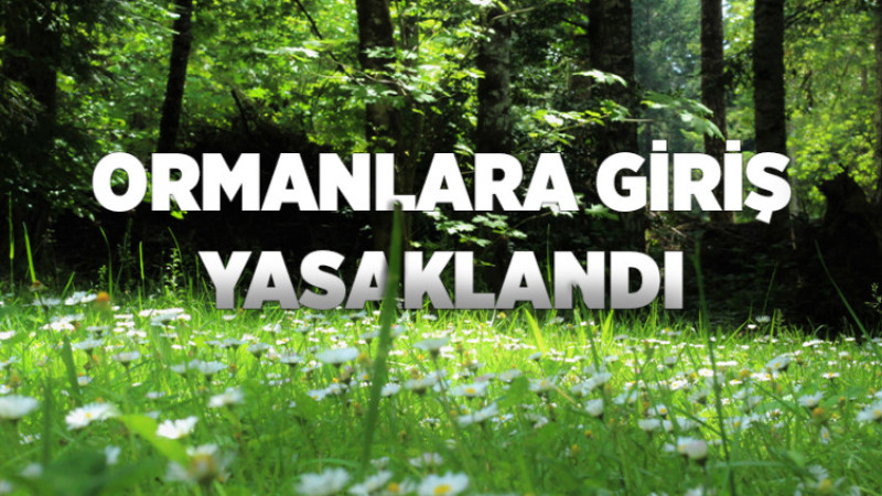 Ormanlara Giriş Yasaklandı