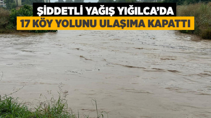 Şiddetli Yağış Yolları Kapattı