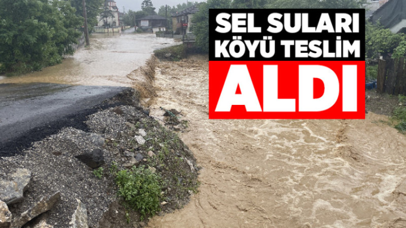 Sel Suları Köyü Teslim Aldı