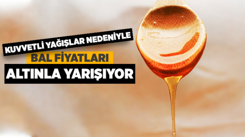 Bal Fiyatları Altınla Yarışıyor