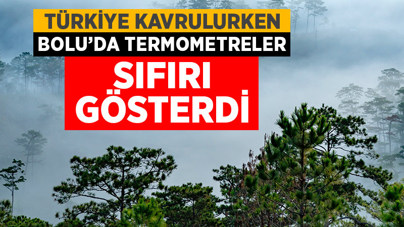 Bolu'da Termometreler Sıfırı Gösterdi