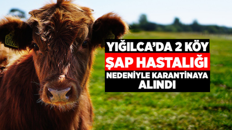 Yığılca'da 2 Köy Karantinaya Alındı