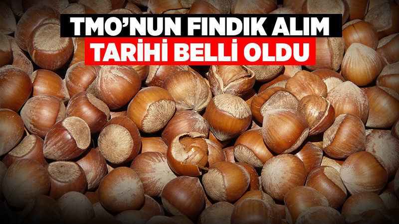 Bakan Yumaklı TMO'nun Fındık Alım Tarihini Açıkladı