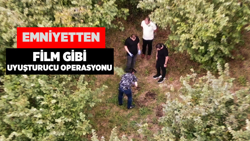 Operasyonda 15 Kök Kenevir Ele Geçirildi