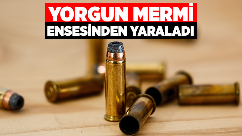 Fındık Bahçesinde Çalışırken Ensesinden Yaralandı