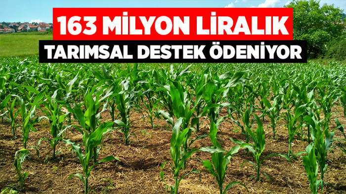 163 milyon TL'lik tarımsal destek ödeniyor