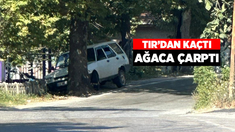 TIR'a Çarpmak İstemedi, Ağaca Çarptı