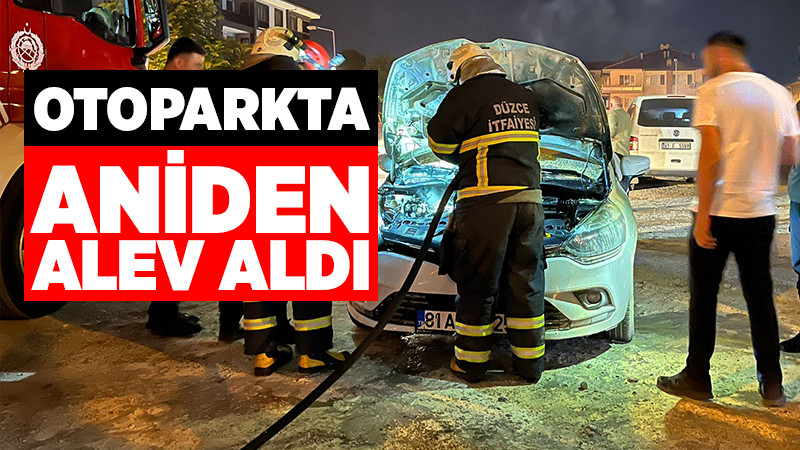 Park Halindeki Araçta Yangın Çıktı
