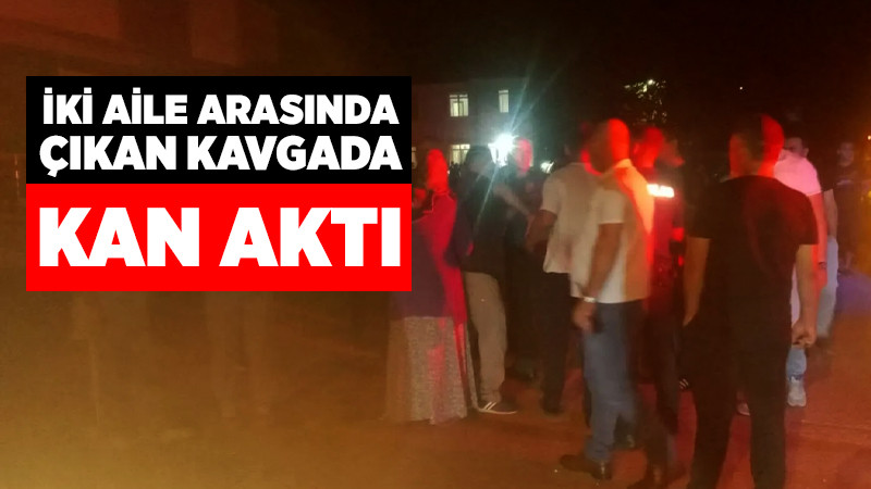 İki Aile Arasında Çıkan Kavgada Kan Aktı