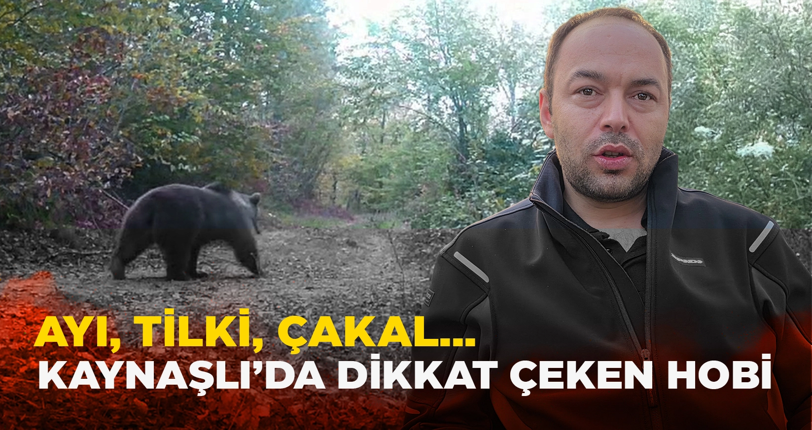 DÜZCE’DE FOTOKAPAN GERÇEĞİ: DOĞA ASLINDA SANDIĞINIZ GİBİ DEĞİL