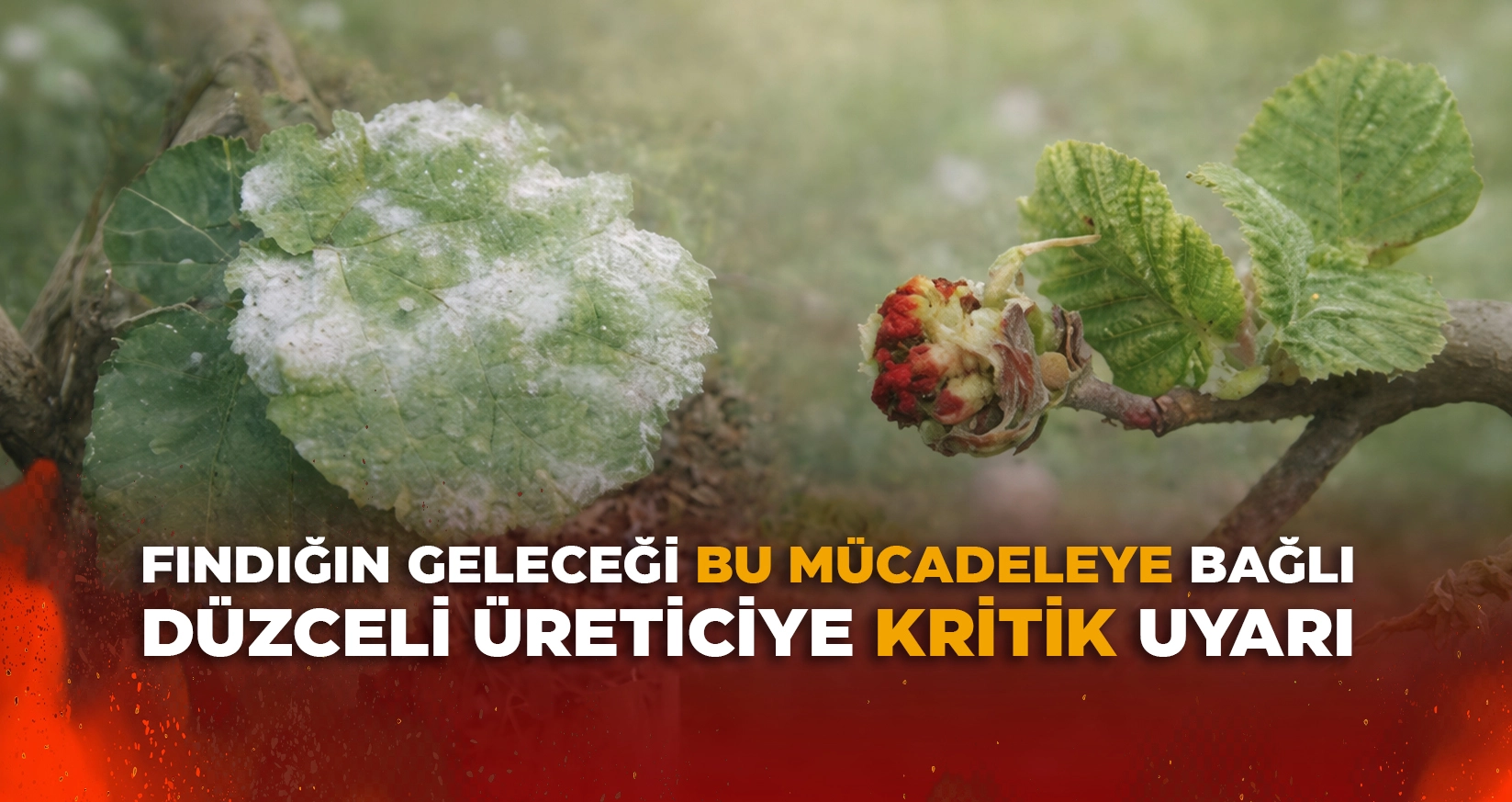 DÜZCELİ ÜRETİCİYE KRİTİK UYARI