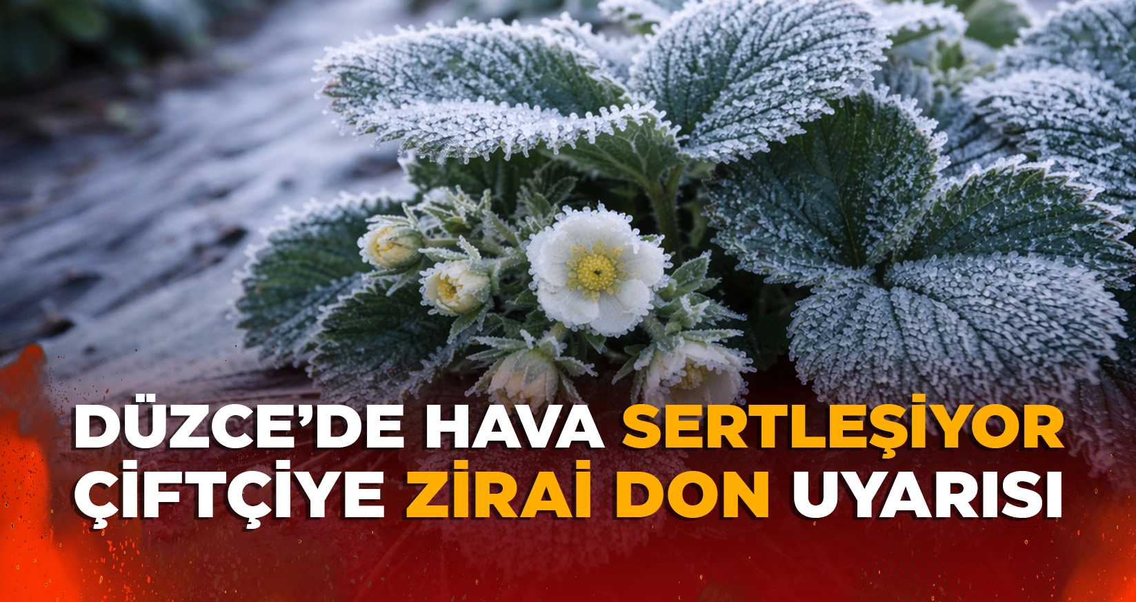 DÜZCE’DE HAVA SERTLEŞİYOR