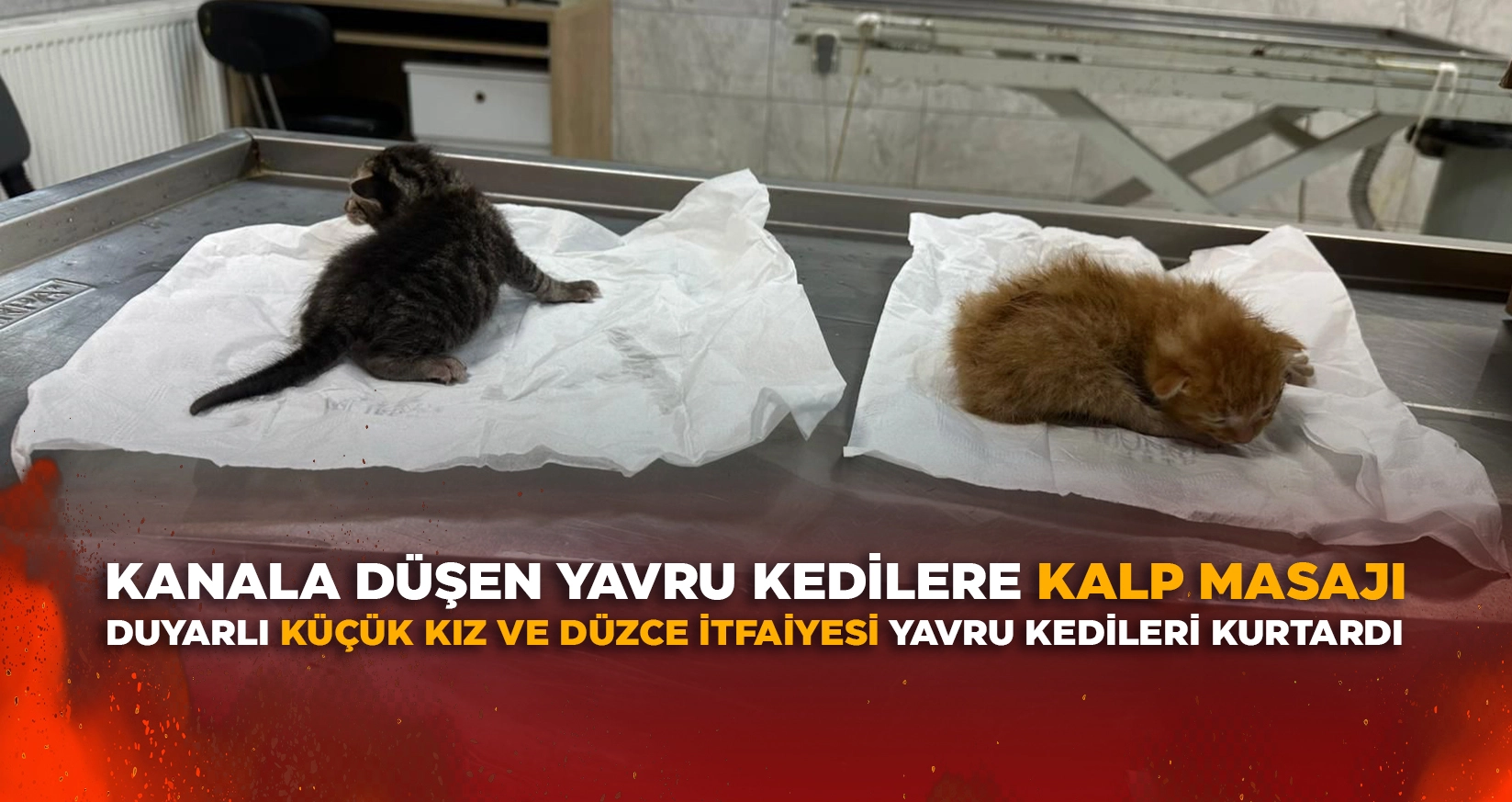 DUYARLI KÜÇÜK KIZ VE DÜZCE İTFAİYESİ YAVRU KEDİLERİ KURTARDI