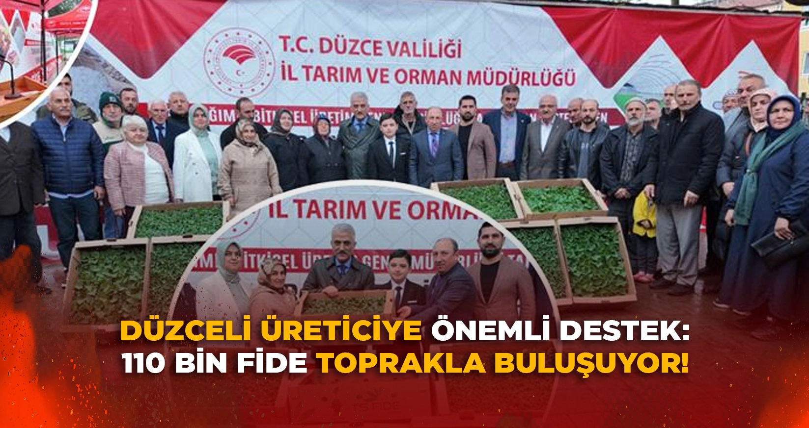 DÜZCELİ ÜRETİCİYE ÖNEMLİ DESTEK: 110 BİN FİDE TOPRAKLA BULUŞUYOR!