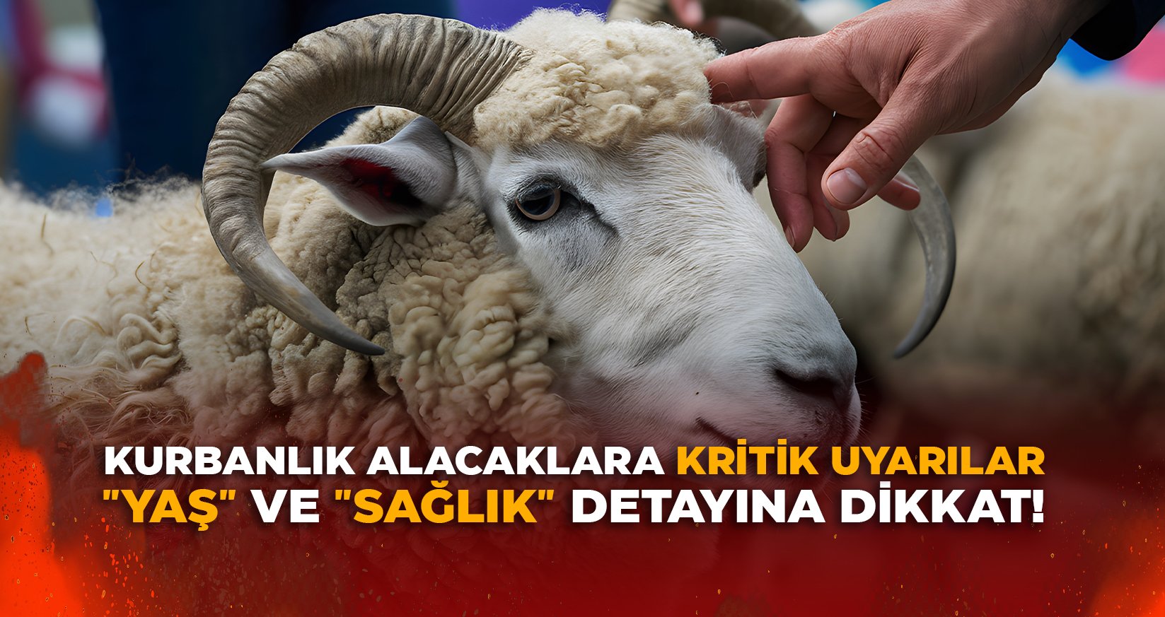 KURBANLIK ALACAKLARA KRİTİK UYARILAR