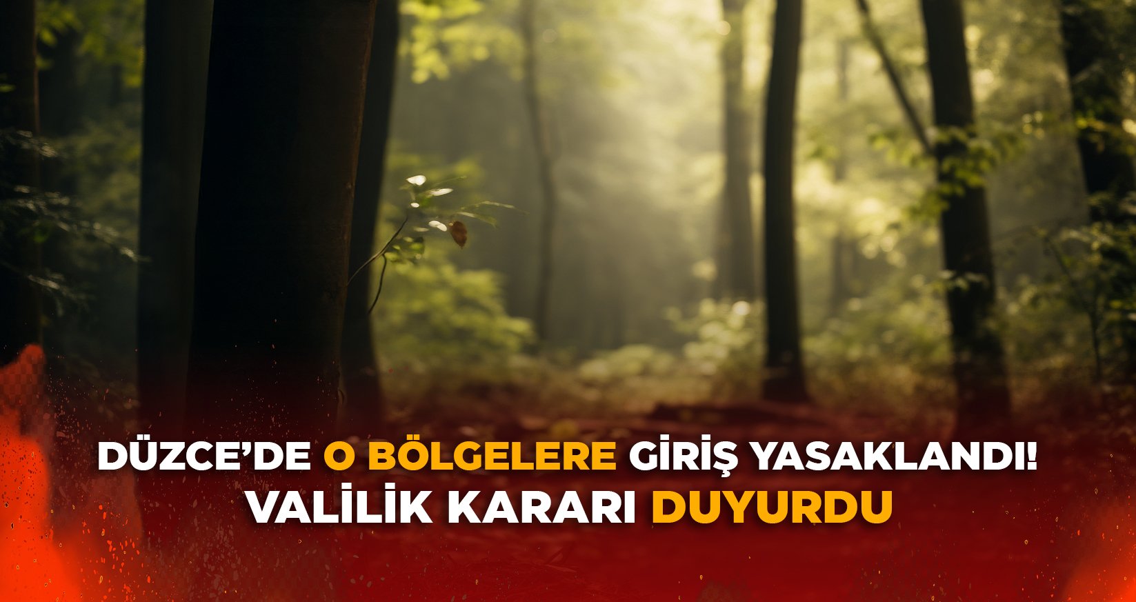 DÜZCE’DE O BÖLGELERE GİRİŞ YASAKLANDI!