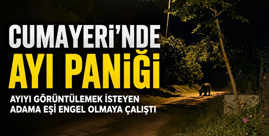 Cumayeri’nde Ayı Paniği: Köye İnen Ayı Köylülere Korku Dolu Anlar Yaşattı