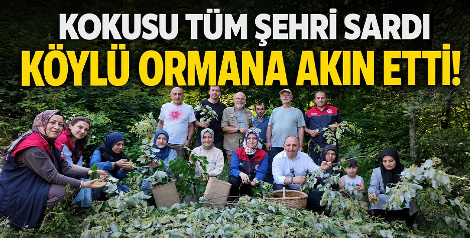 Kokusu tüm şehri sardı, köylü ormana akın etti!