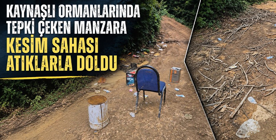 Kaynaşlı Ormanlarında Tepki Çeken Manzara: Kesim Sahası Atıklarla Doldu
