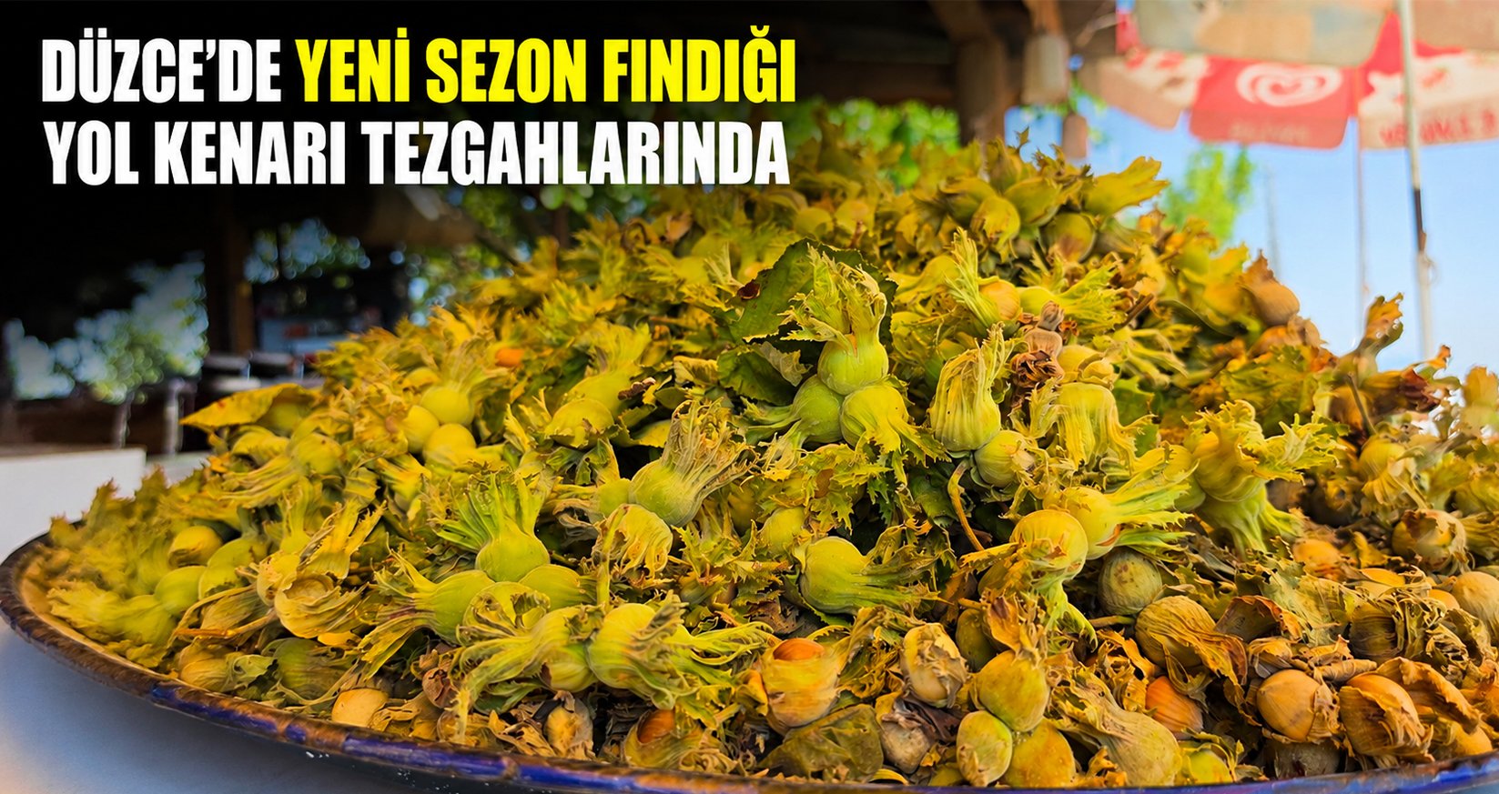 Düzce’de yeni sezon fındığı tezgahlarda: Kilosu 200 lira
