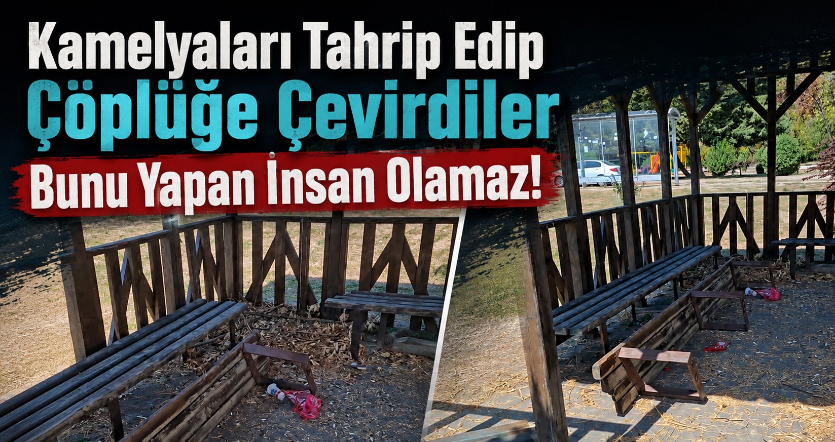 Kamelyaları Tahrip Edip Çöplüğe Çevirdiler