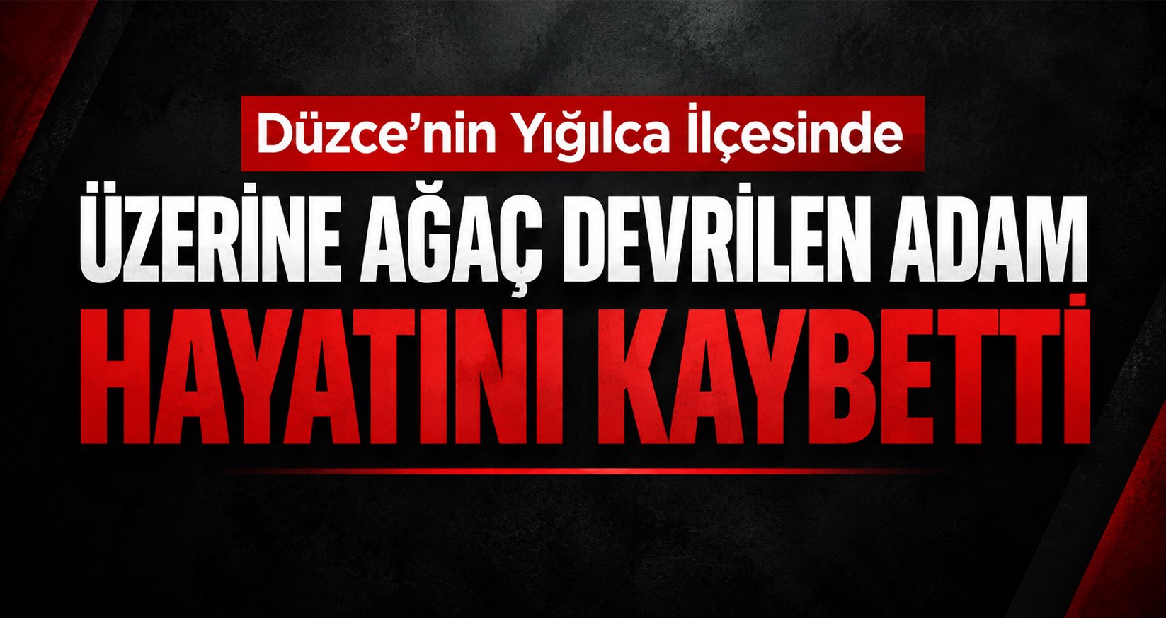 Düzce’nin Yığılca İlçesinde Üzerine Ağaç Devrilen Adam Hayatını Kaybetti