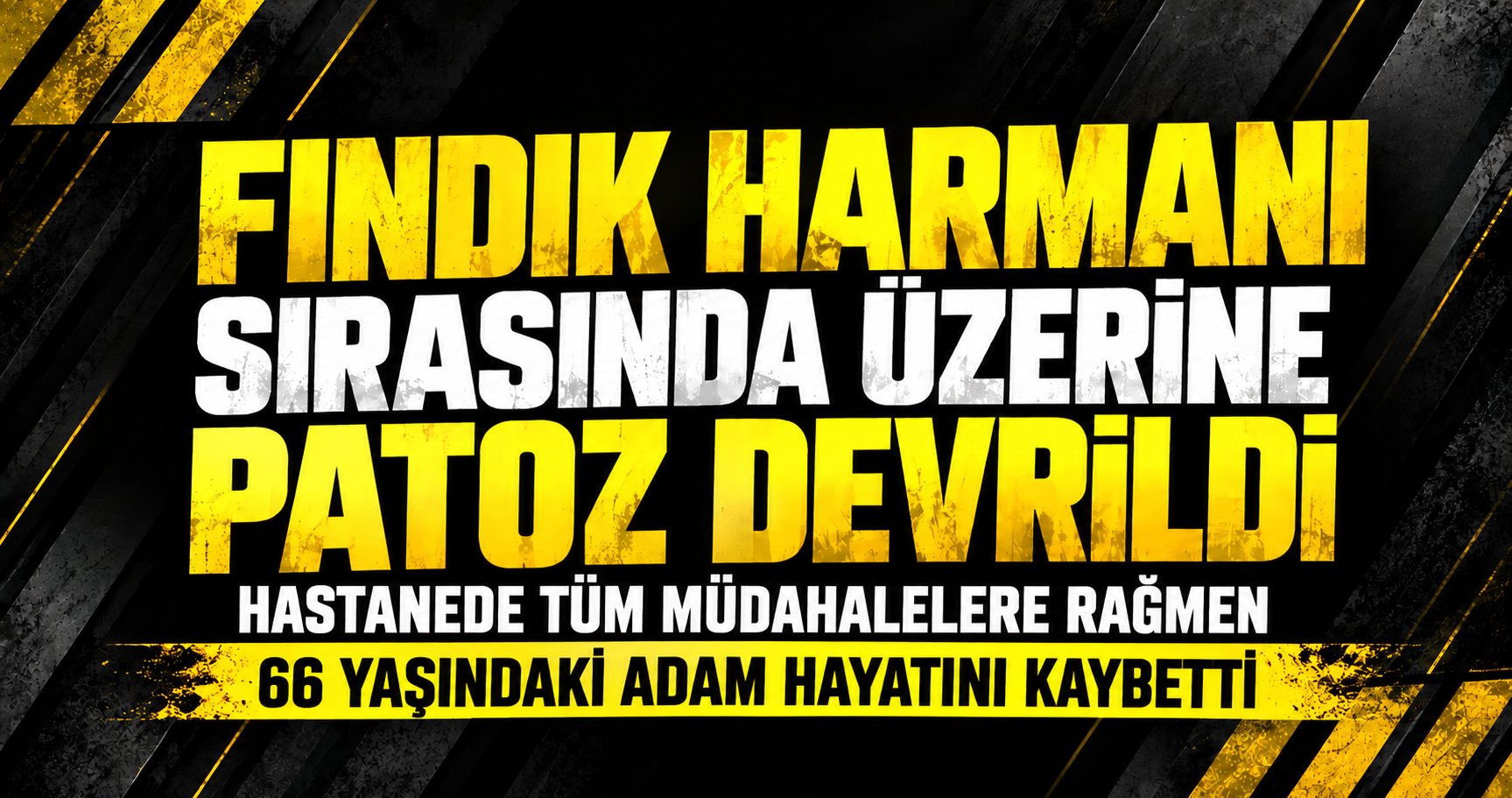 Fındık Harmanı Sırasında Üzerine Patoz Devrildi: 66 Yaşındaki Adam Hayatını Kaybetti