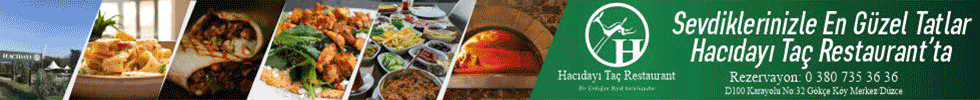 Header Banner AdSense